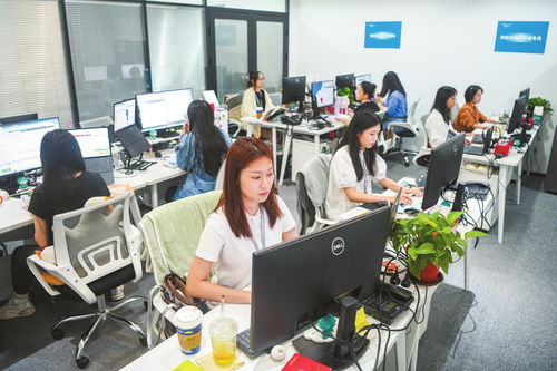 海口加速數據跨境業務發展，打造數字高地與軟件開發新引擎